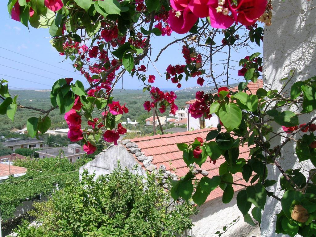 Fenareti Village House Makhairoí Esterno foto